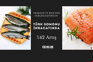 DOĞU KARADENİZ BÖLGESİ'NDEN YAPILAN TÜRK SOMONU İHRACATINDA %42 ARTIŞ